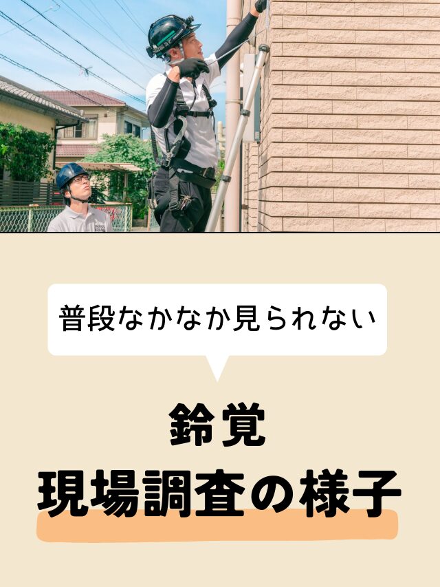 鈴覚　現場調査の様子